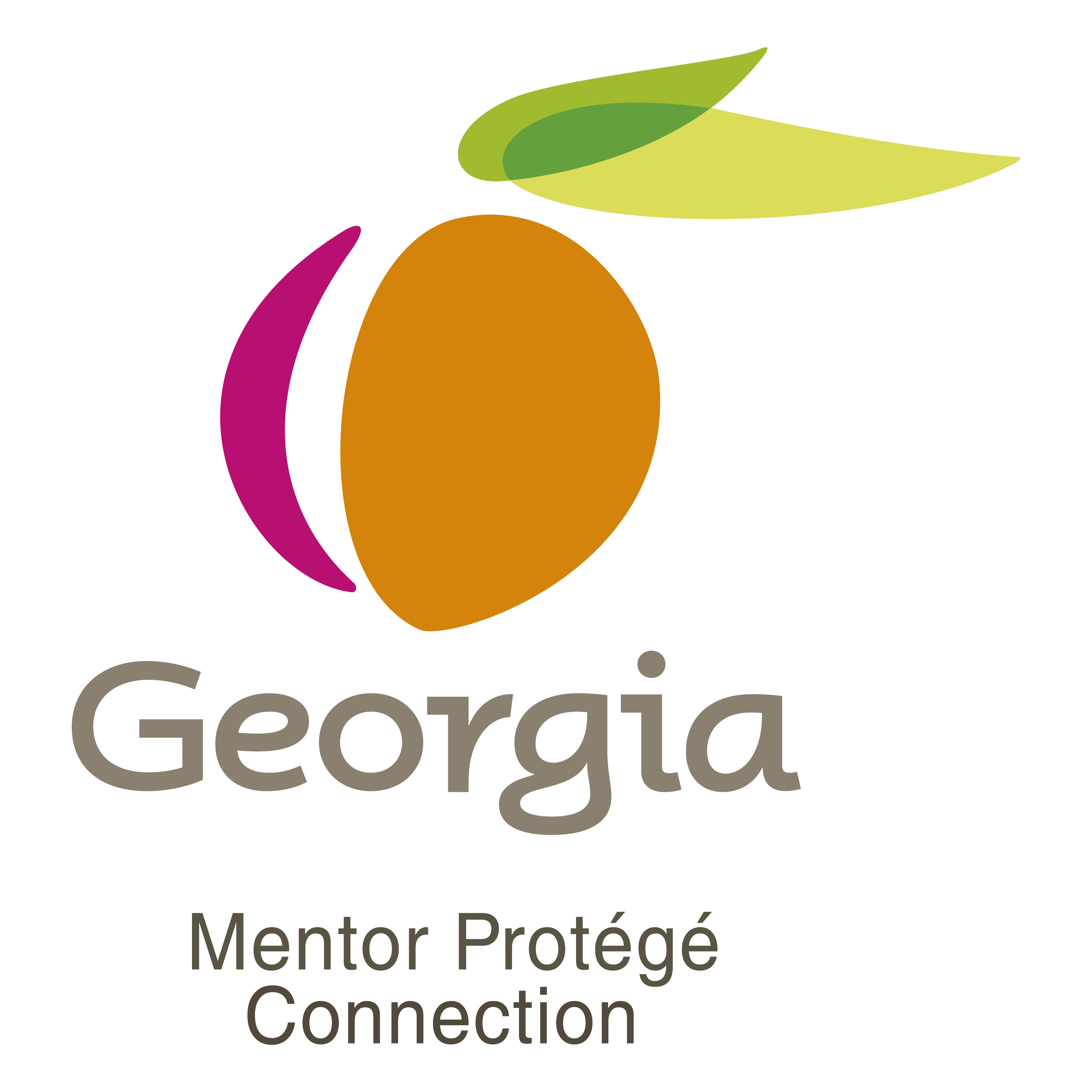 Georgia Mentor Protégé Connection